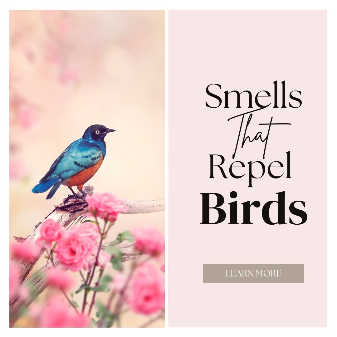 smells that repel birds