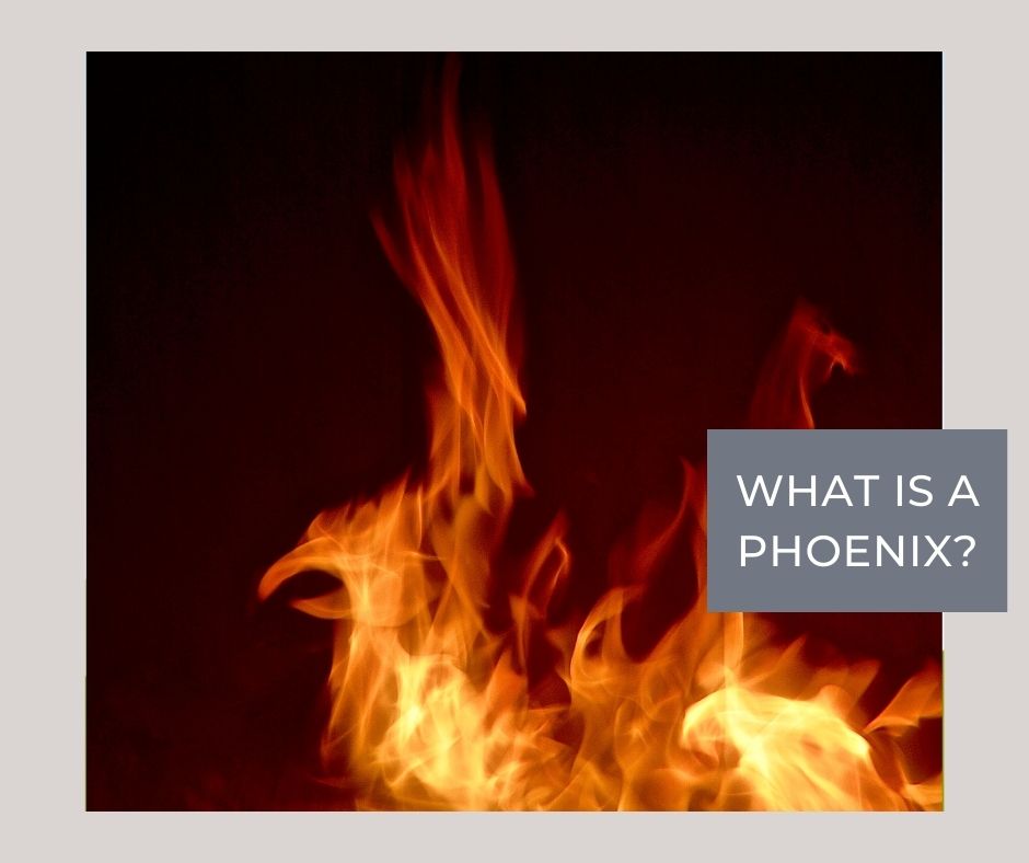 what is a phoenix